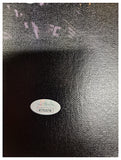 khabib Nurmagomedov "The Eagle" Autographed Special Series Canvas Frame. JSA
