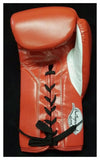 Floyd Mayweather Jr. "PRETTY BOY, TMT, TBE" Autographed Cleto Reyes Red Glove. Beckett