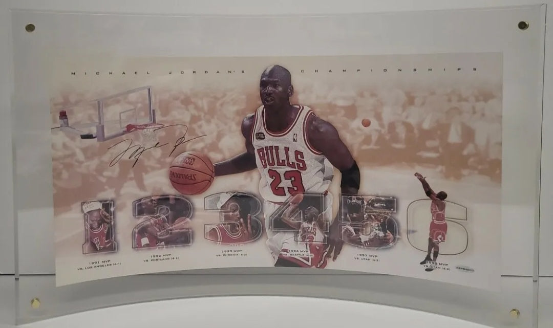 michael jordan autograph ebay